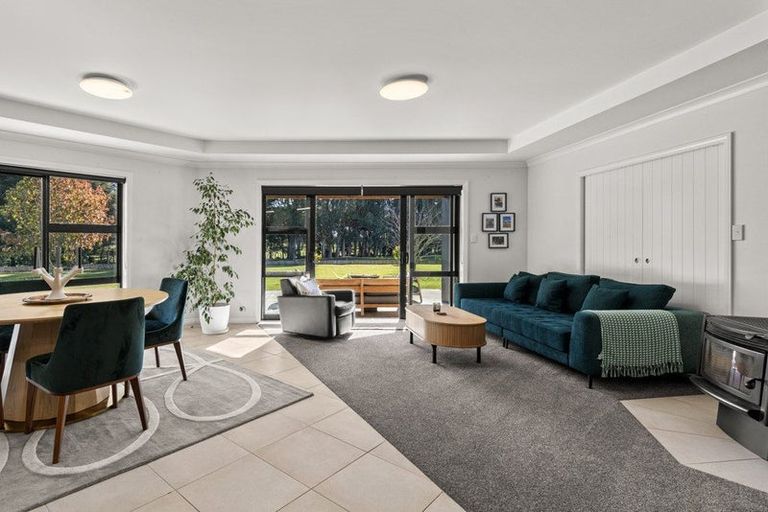 Photo of property in 255 Calico Line, Marton, 4787