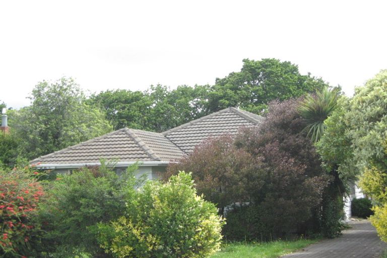 Photo of property in 280 Opawa Road, Hillsborough, Christchurch, 8022