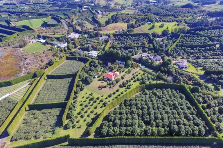 Photo of property in 11b Stokes Road, Tahawai, Katikati, 3170