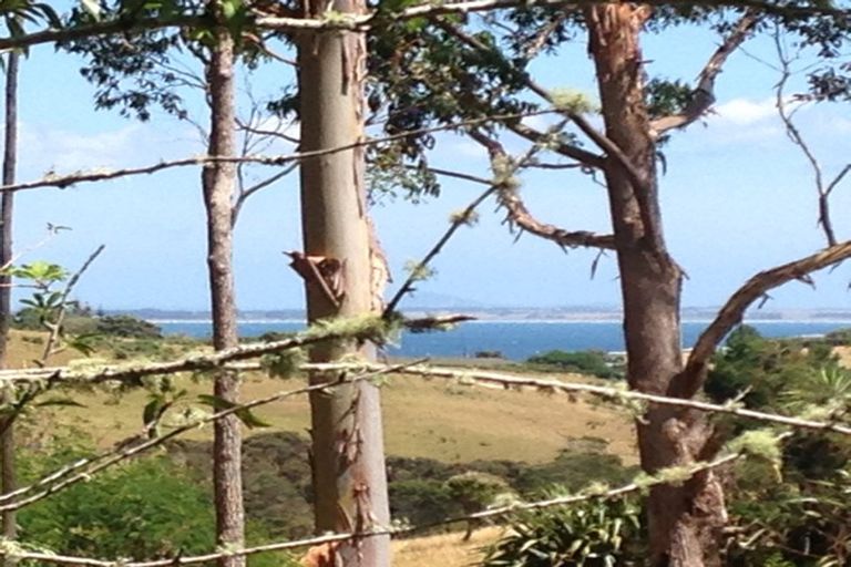 Photo of property in 294a Cable Bay Block Road, Cable Bay, 0420