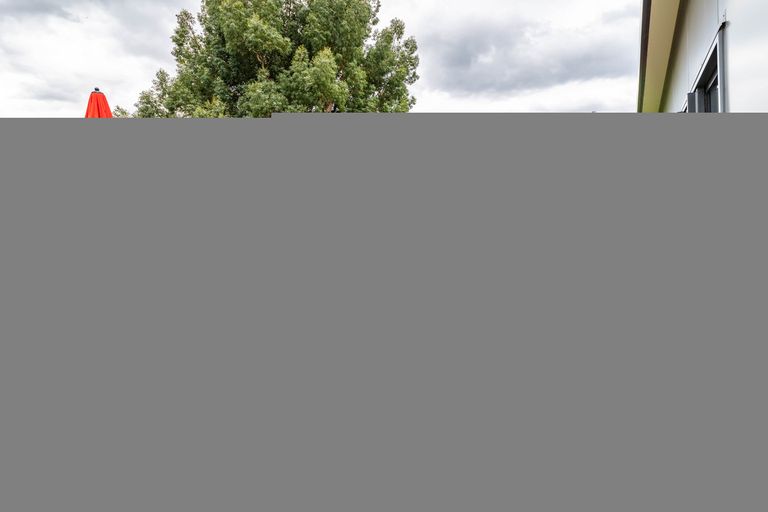 Photo of property in 173 Dalziel Road, Brockville, Dunedin, 9011