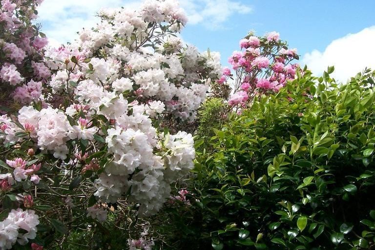 Photo of property in 27 Lower North Terrace, Kelburn, Wellington, 6012