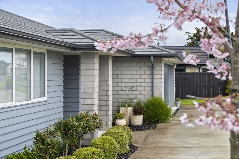 Photo of property in 62 Rapana Drive, Tuakau, 2121