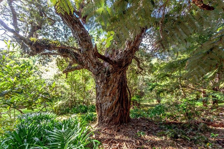 Photo of property in 20 Tutaritari Road, Hahei, Whitianga, 3591