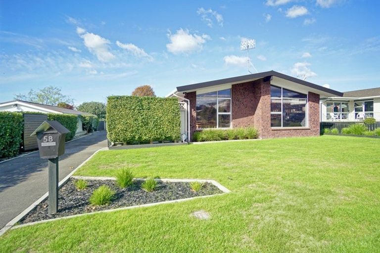 Photo of property in 58 Boucher Avenue, Te Puke, 3119