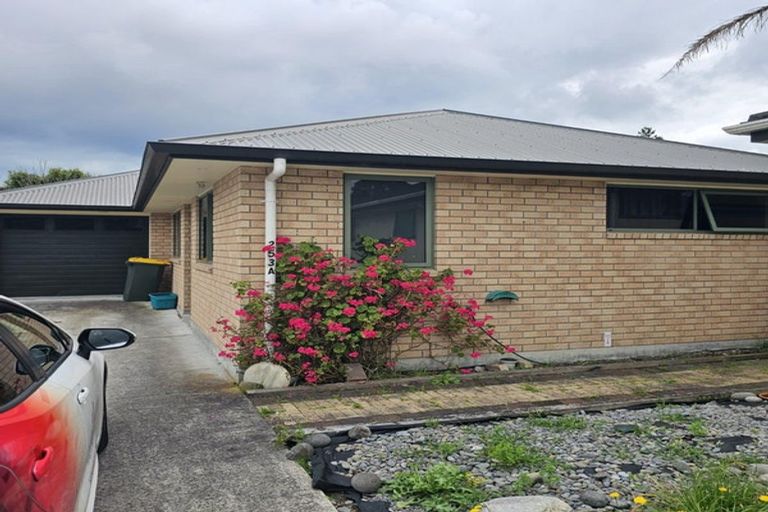 Photo of property in 253 Dey Street, Hamilton East, Hamilton, 3216