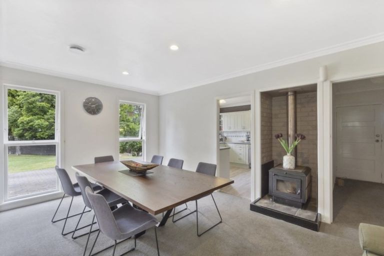 Photo of property in 20 Jennifer Place, Chartwell, Hamilton, 3210