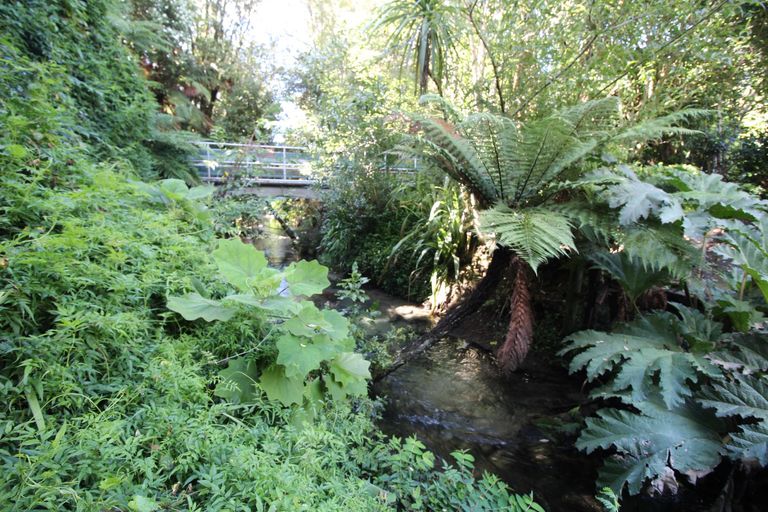 Photo of property in 7 Darroch Street, Fairy Springs, Rotorua, 3015