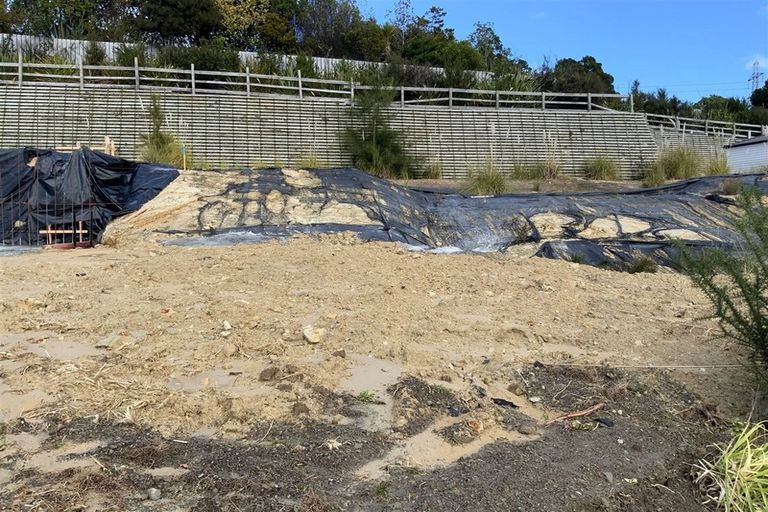 Photo of property in 3 Puhakehake Place, Flat Bush, Auckland, 2019