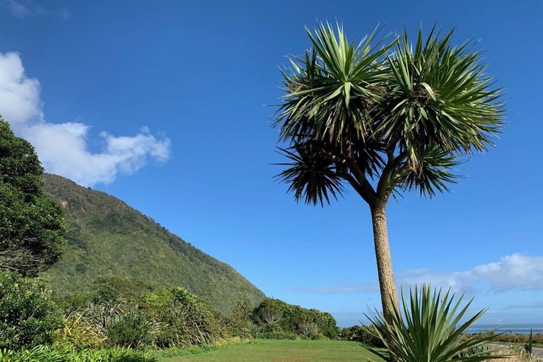 Photo of property in 2 Golden Sands Road, Barrytown, Runanga, 7873