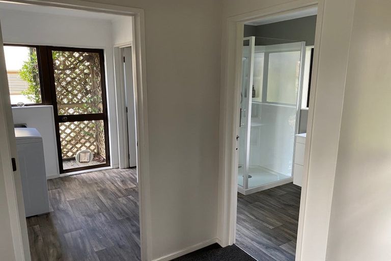 Photo of property in 38 Reeve Drive, Havelock North, 4130