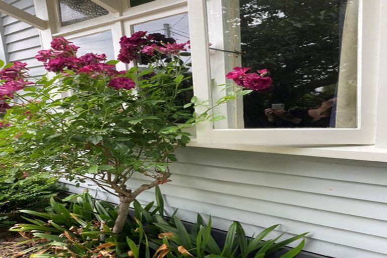 Photo of property in 6 Davy Street, Carterton, 5713