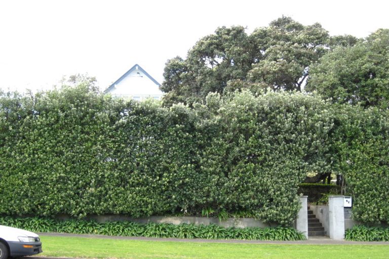 Photo of property in 41 Hamblyn Street, Strandon, New Plymouth, 4312