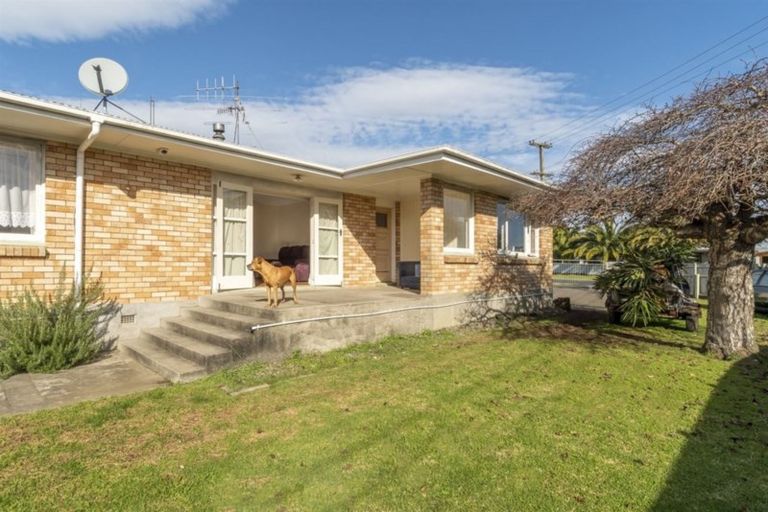 Photo of property in 22 Collingwood Street, Judea, Tauranga, 3110