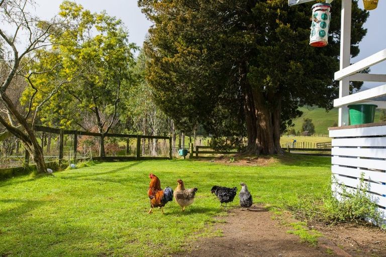 Photo of property in 10 Mutuera Road, Wharekopae, Gisborne, 4072