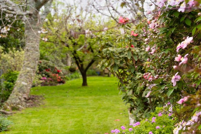 Photo of property in 249 Te Moana Road, Waikanae, 5036