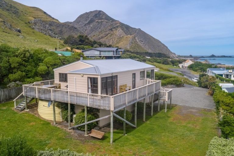 Photo of property in 3129 Mangatoetoe Grove, Cape Palliser, Pirinoa, 5772