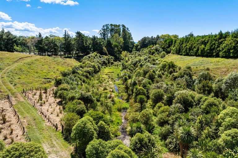 Photo of property in 8 Pine Ridge Lane, Aongatete, Katikati, 3181