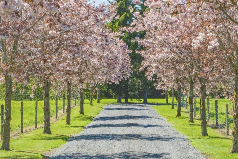 Photo of property in 558 Sandy Knolls Road, West Melton, Christchurch, 7675