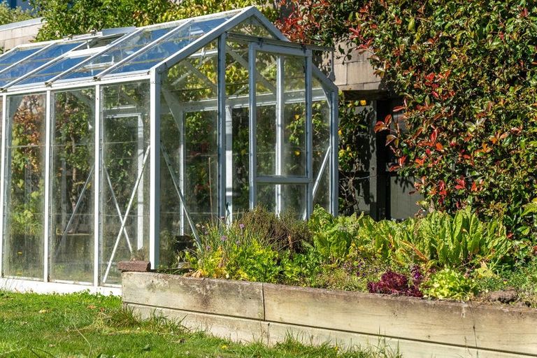 Photo of property in 81 Cannington Road, Maori Hill, Dunedin, 9010