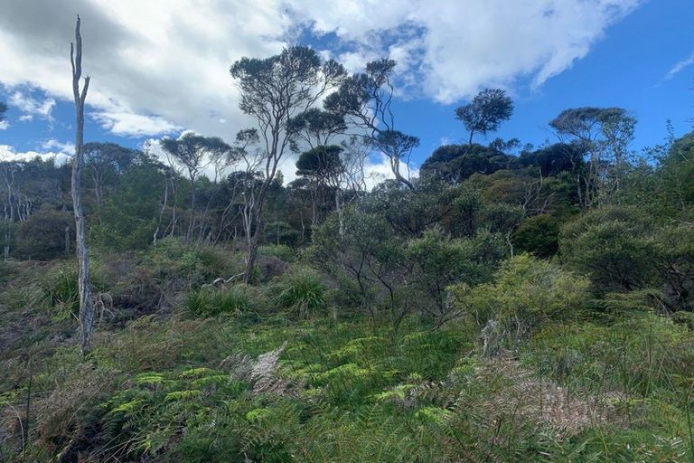 Photo of property in 238 Hillcrest Road, Wainui, 0931