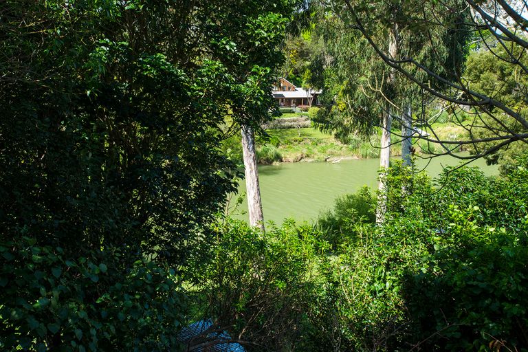Photo of property in 29 Island Road, Whataupoko, Gisborne, 4010