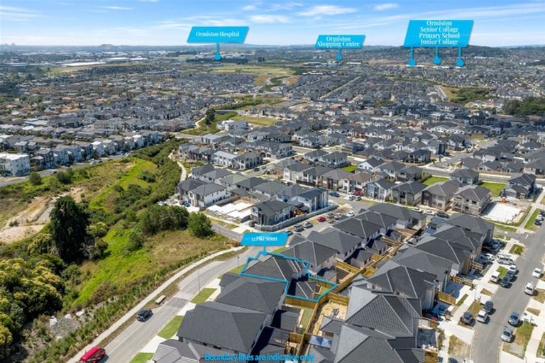 Photo of property in 12 Piki Street, Flat Bush, Auckland, 2019
