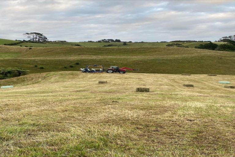 Photo of property in 378 Hursthouse Road, Tarurutangi, Inglewood, 4389