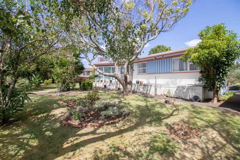 Photo of property in 31 Shaw Avenue, Paeroa, 3600