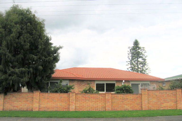 Photo of property in 23a Hillstone Avenue, Gate Pa, Tauranga, 3112