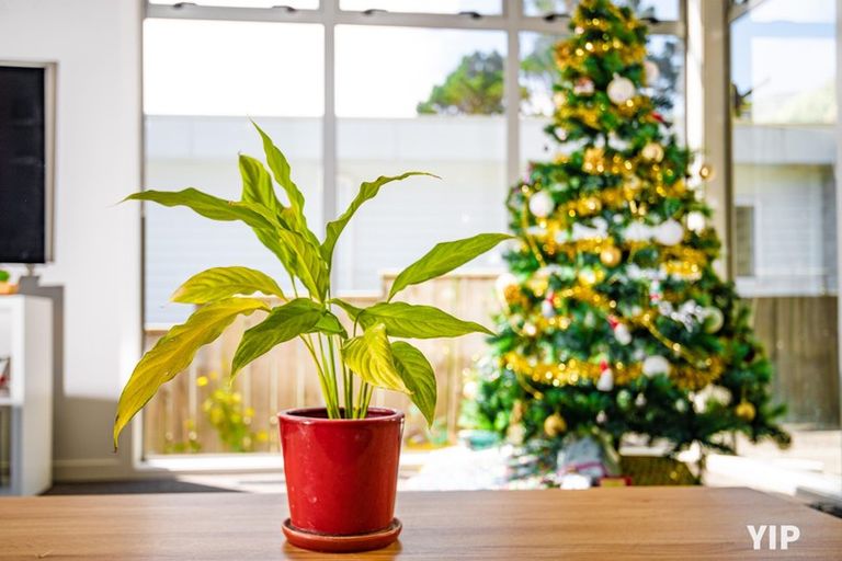 Photo of property in 67 Sheridan Terrace, Johnsonville, Wellington, 6037