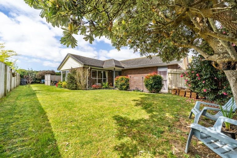 Photo of property in 20 Memphis Grove, Totara Park, Upper Hutt, 5018