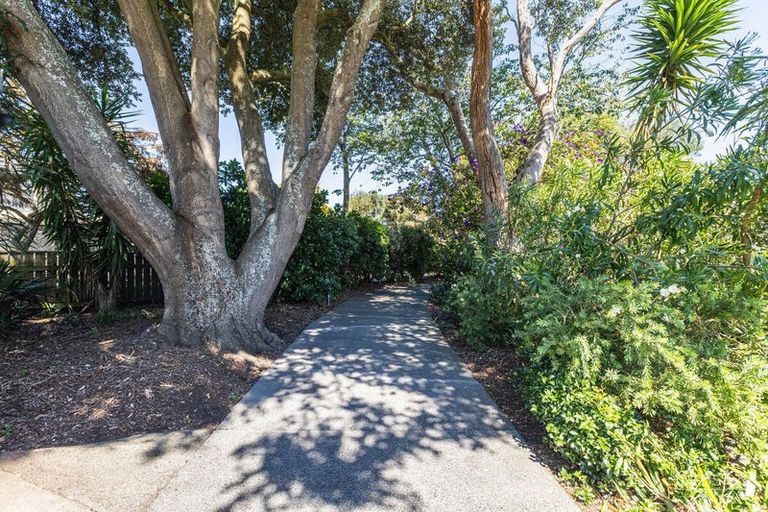 Photo of property in 4a Madras Street, Aramoho, Whanganui, 4500