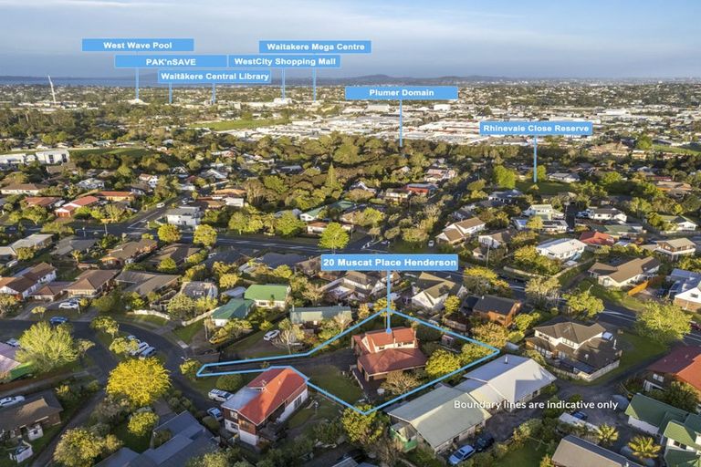Photo of property in 20 Muscat Place, Henderson, Auckland, 0612