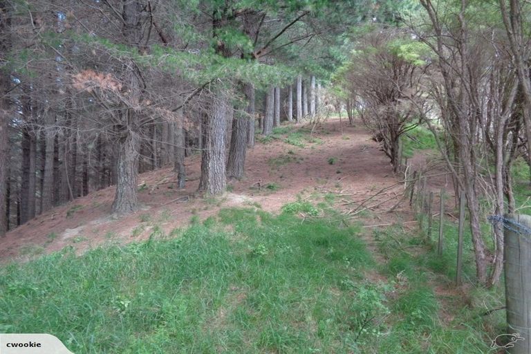 Photo of property in 141 Dodson Valley Road, Atawhai, Nelson, 7010