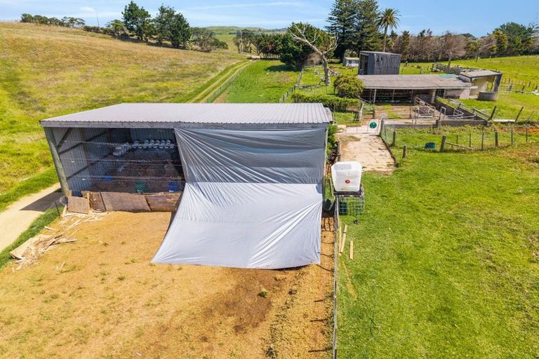 Photo of property in 172 Manukau Heads Road, Awhitu, 2684