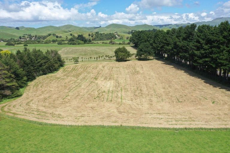 Photo of property in 685 Waitahora Road, Waitahora, Dannevirke, 4971