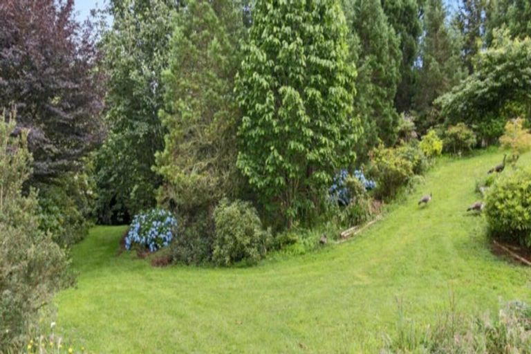 Photo of property in 488 Tapuwae Road, Maniaiti / Benneydale, Te Kuiti, 3987