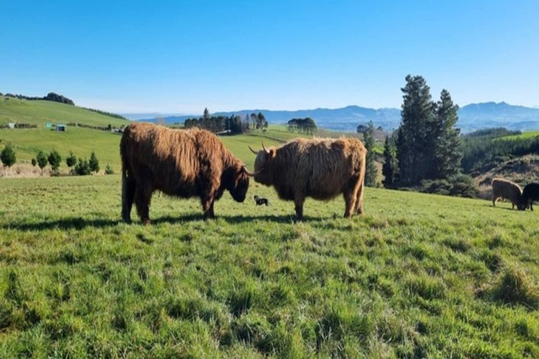 Photo of property in 447 Waddle Road, Waikana, Gore, 9772