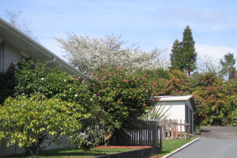 Photo of property in 12 Solly Place, Springfield, Rotorua, 3015