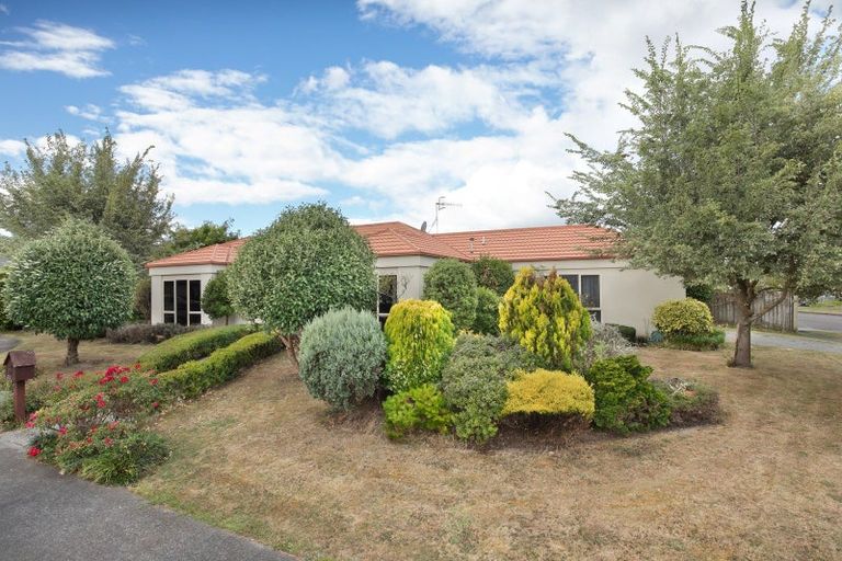 Photo of property in 21 Madison Avenue, Milson, Palmerston North, 4414