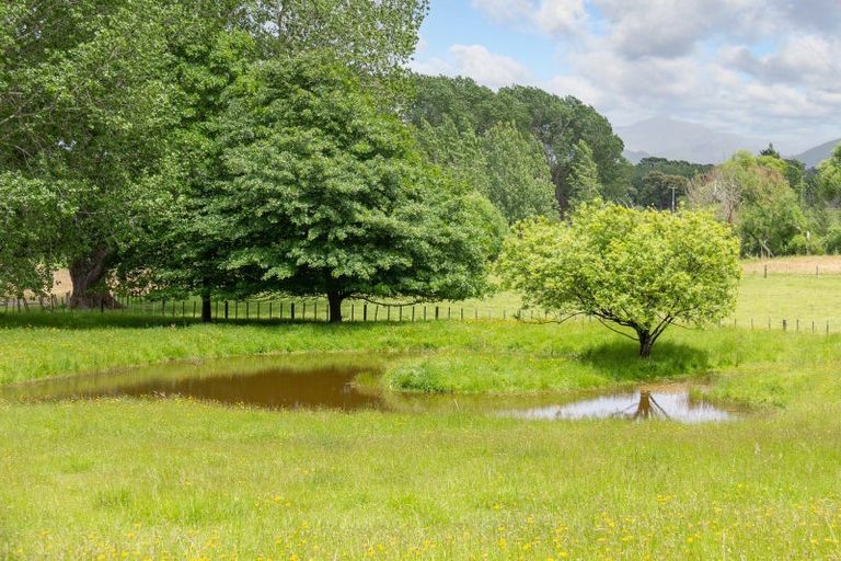 Photo of property in 111 Knight Road, Kopuaranga, Masterton, 5882