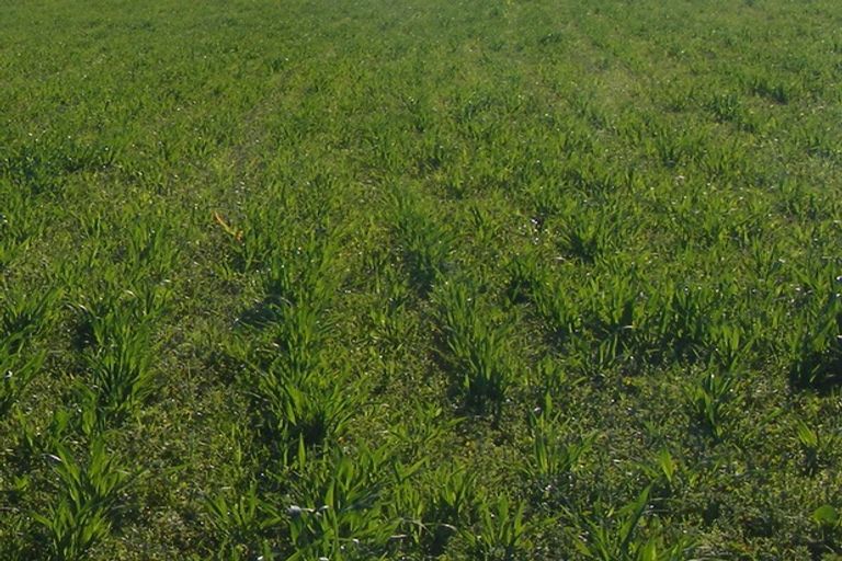 Photo of property in 496 Rangiora Leithfield Road, Sefton, Rangiora, 7477