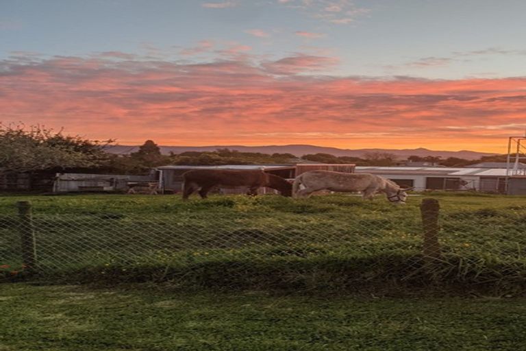 Photo of property in 57 Union Street, Waihi, 3610