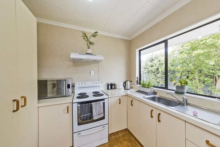 Photo of property in 31b Seddon Street, Takaro, Palmerston North, 4412