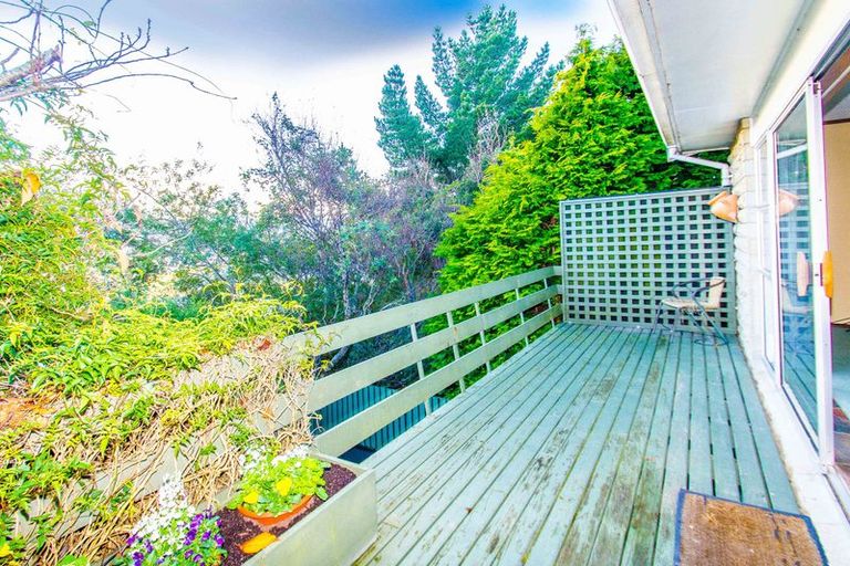 Photo of property in 15 Davies Street, Concord, Dunedin, 9018