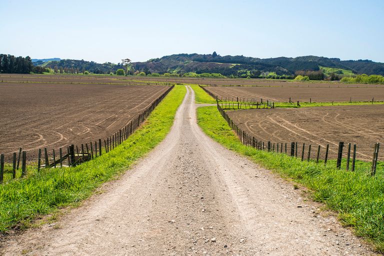 Photo of property in 622 Lavenham Road, Waituhi, Gisborne, 4072