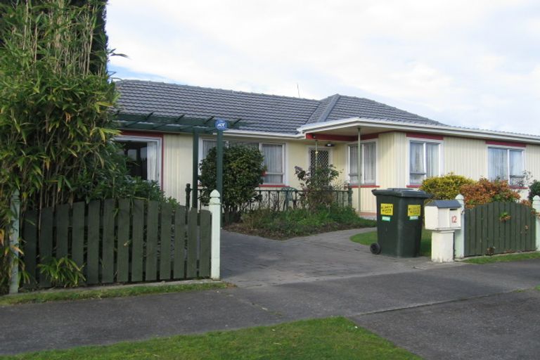 Photo of property in 12 Battersea Place, Roslyn, Palmerston North, 4414