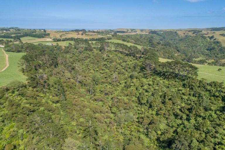 Photo of property in 366 Awhitu Central Road, Awhitu, 2684