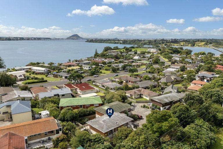 Photo of property in 371 Maungatapu Road, Maungatapu, Tauranga, 3112